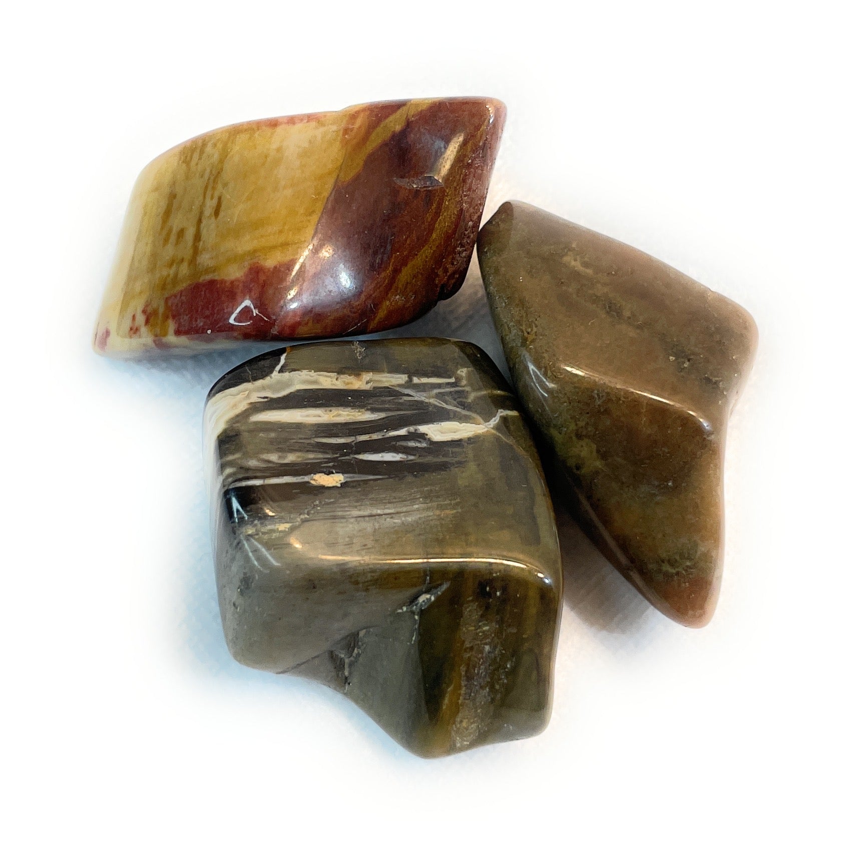 Petrified Wood, Tumbled Petrified Wood, Tumble Stone - A unique handcrafted crystal piece.